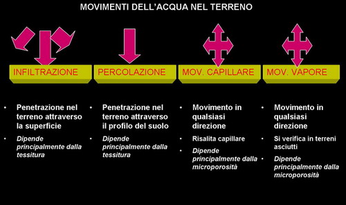 Movimenti dell'acqua e sua disponibilit nel suolo